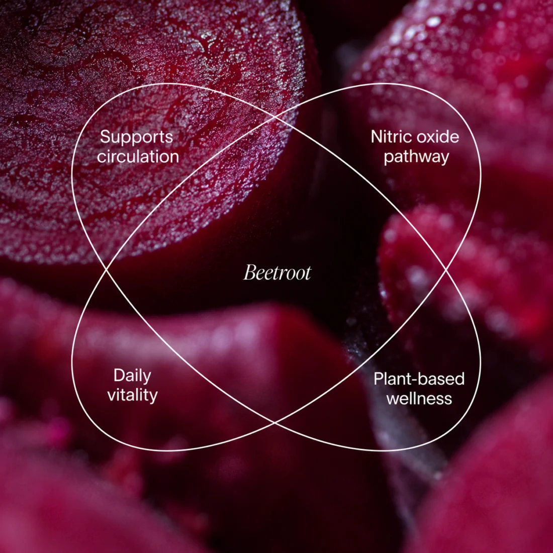 Close-up of fresh beetroot
